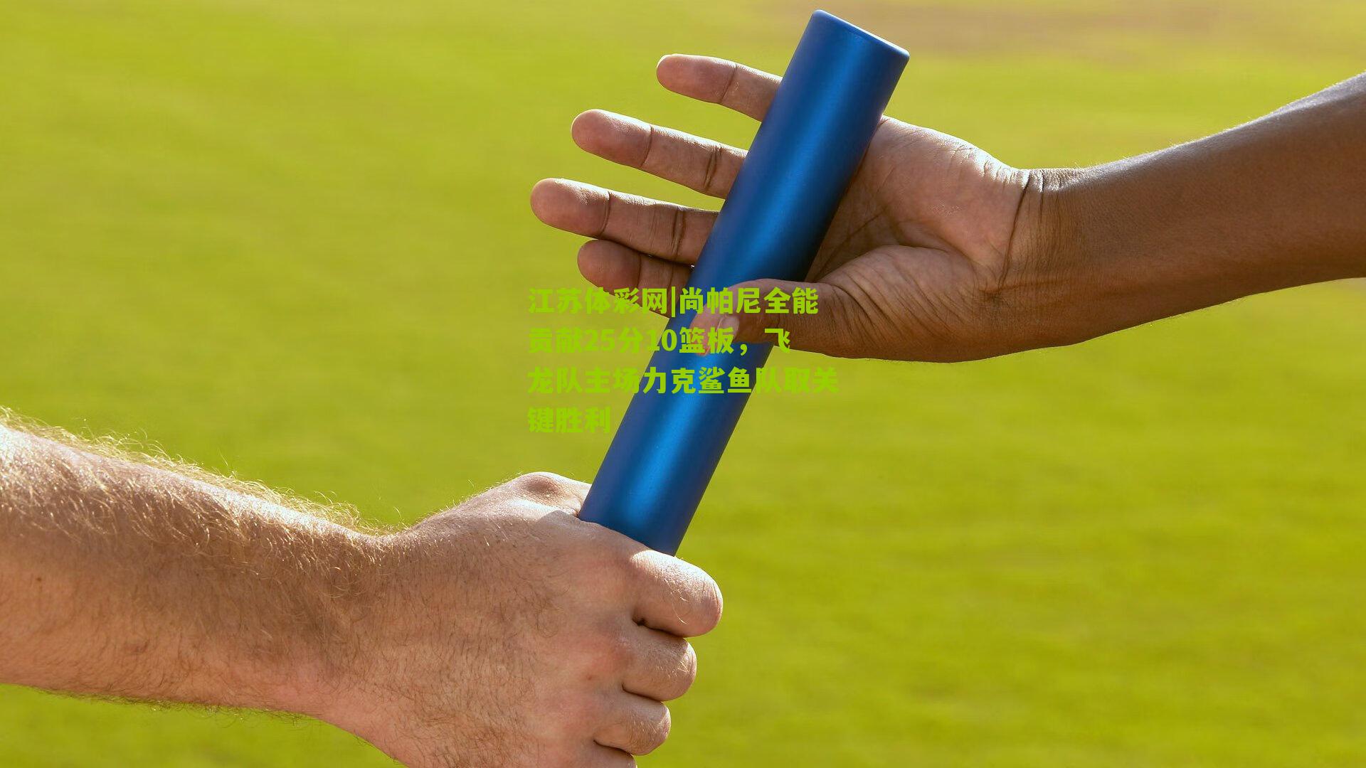 江苏体彩网|尚帕尼全能贡献25分10篮板，飞龙队主场力克鲨鱼队取关键胜利