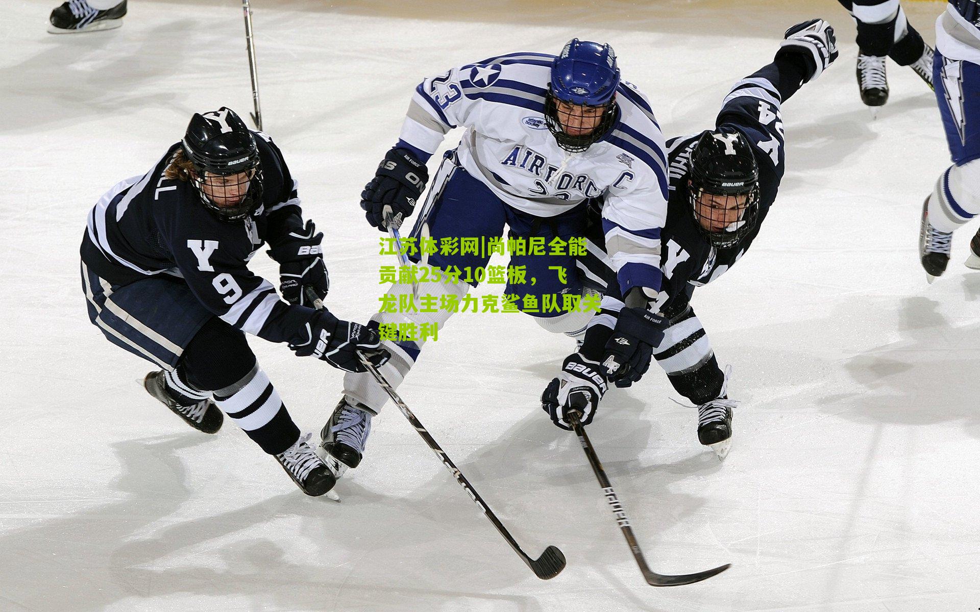 尚帕尼全能贡献25分10篮板，飞龙队主场力克鲨鱼队取关键胜利