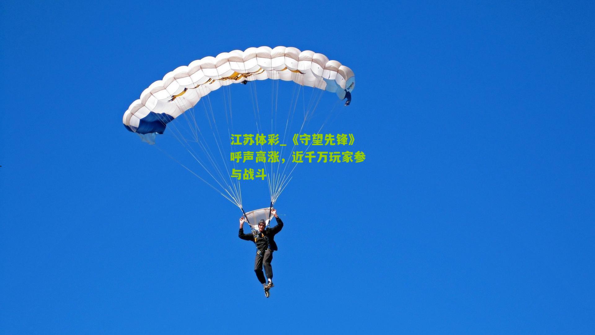 《守望先锋》呼声高涨，近千万玩家参与战斗